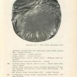Barbara Zielińska-Jankowska - Katalog - SBWA - Galeria Pokaz - Warszawa 1984
